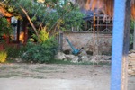 resIMG_20160613_195748_6052.JPG